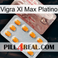 Vigra Xl Max Platinum new13